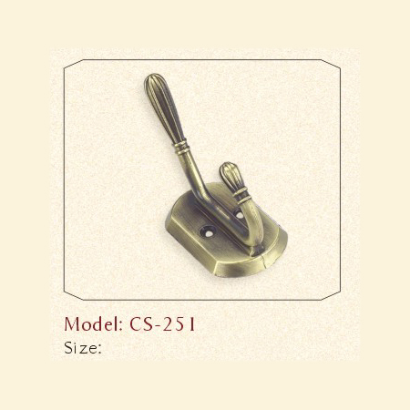 CS-251