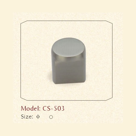 CS-503